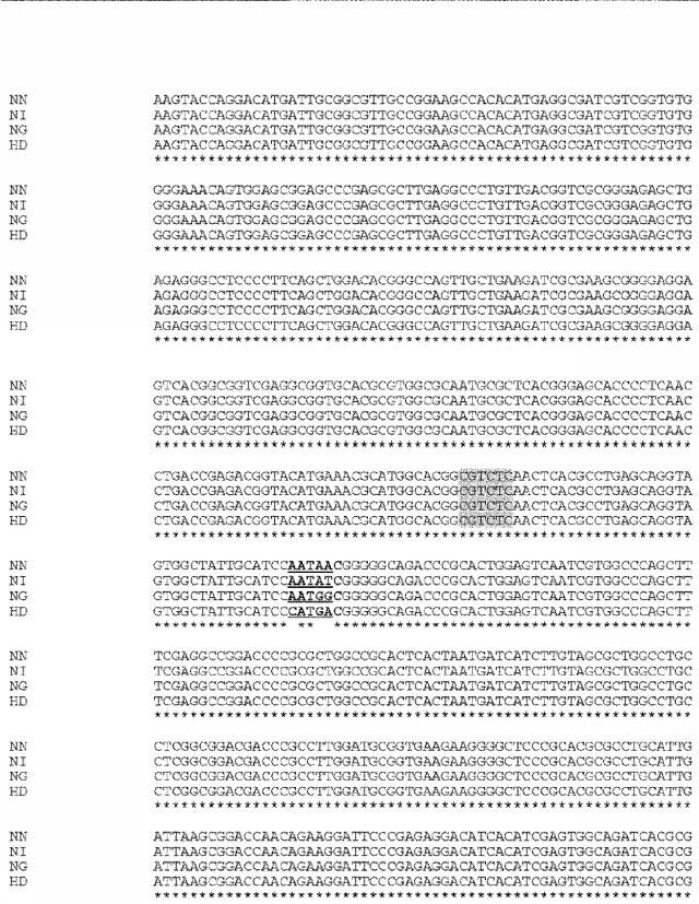 6259766-フラタキシンレベルを増加させる方法および生成物ならびにその使用 図000062