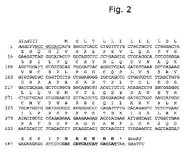 6309273-活性化血小板上のＴＬＴ−１に対する凝固因子の標的化 図000062