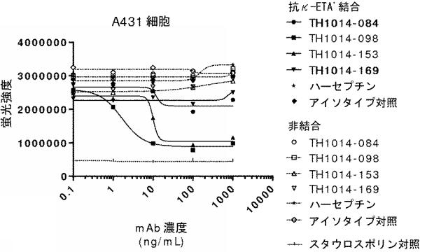 6341963-ＨＥＲ２に対するモノクローナル抗体 図000062