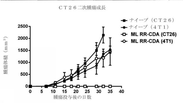 6453855-「インターフェロン遺伝子の刺激因子」依存性シグナル伝達を活性化するための組成物及び方法 図000062