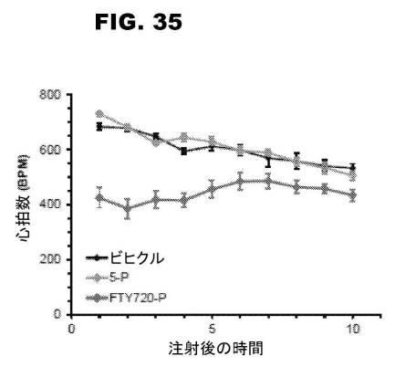 6853539-合成スフィンゴ脂質様分子、薬物、これらの合成方法、および処置方法 図000062