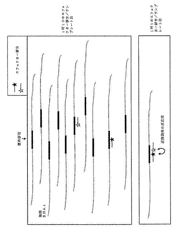 6910295-診断治療融合的な応用のための方法及びキット 図000062