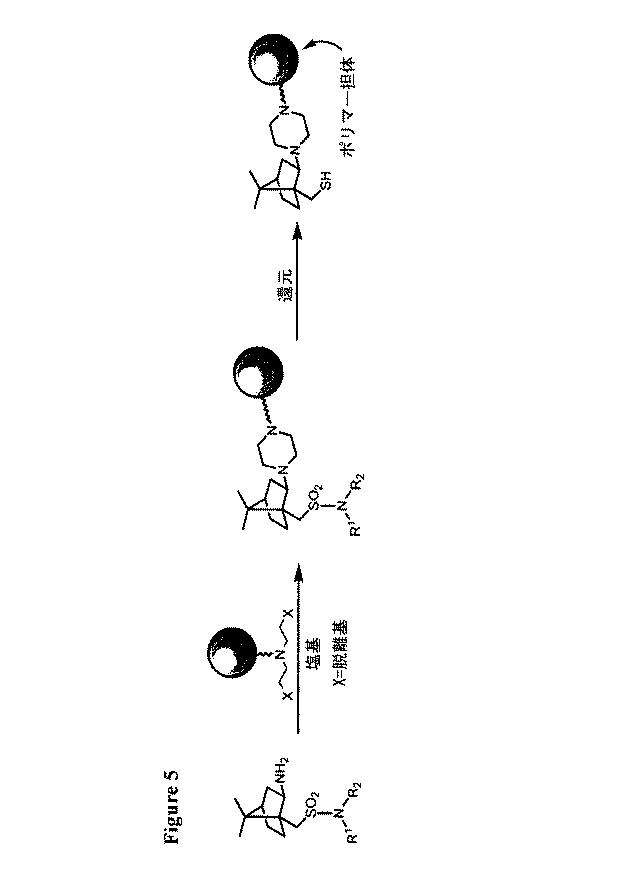 5918386-キラル触媒およびそれらの塩の製造方法 図000063