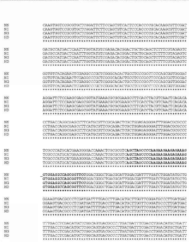 6259766-フラタキシンレベルを増加させる方法および生成物ならびにその使用 図000063