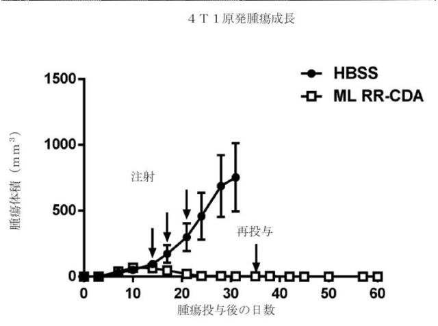 6453855-「インターフェロン遺伝子の刺激因子」依存性シグナル伝達を活性化するための組成物及び方法 図000063