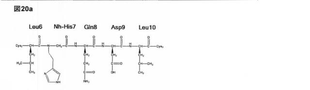 6588890-構築されたポリペプチド特異性のモジュレーション 図000063