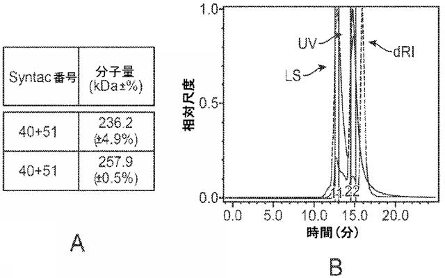 6652680-ｓｙｎＴａｃポリペプチド及びその使用 図000063