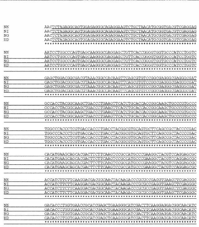 6259766-フラタキシンレベルを増加させる方法および生成物ならびにその使用 図000064