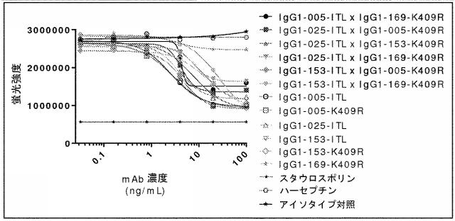 6341963-ＨＥＲ２に対するモノクローナル抗体 図000064