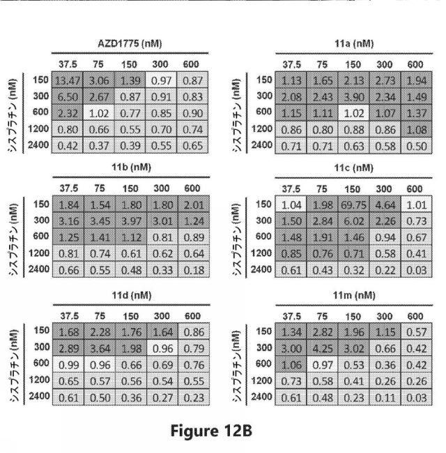 6692423-Ｗｅｅ１キナーゼ阻害剤、並びにそれを作製及び使用する方法 図000064