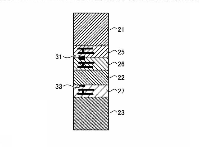 6439076-撮像素子、内視鏡および内視鏡システム 図000065