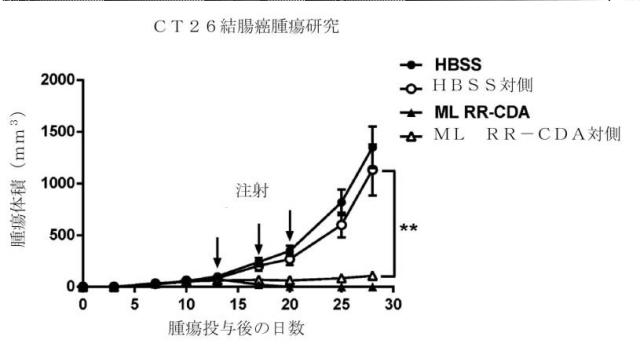 6453855-「インターフェロン遺伝子の刺激因子」依存性シグナル伝達を活性化するための組成物及び方法 図000065