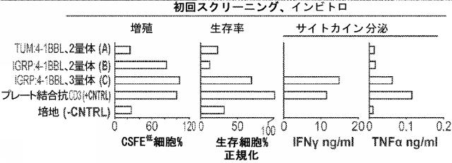 6652680-ｓｙｎＴａｃポリペプチド及びその使用 図000065