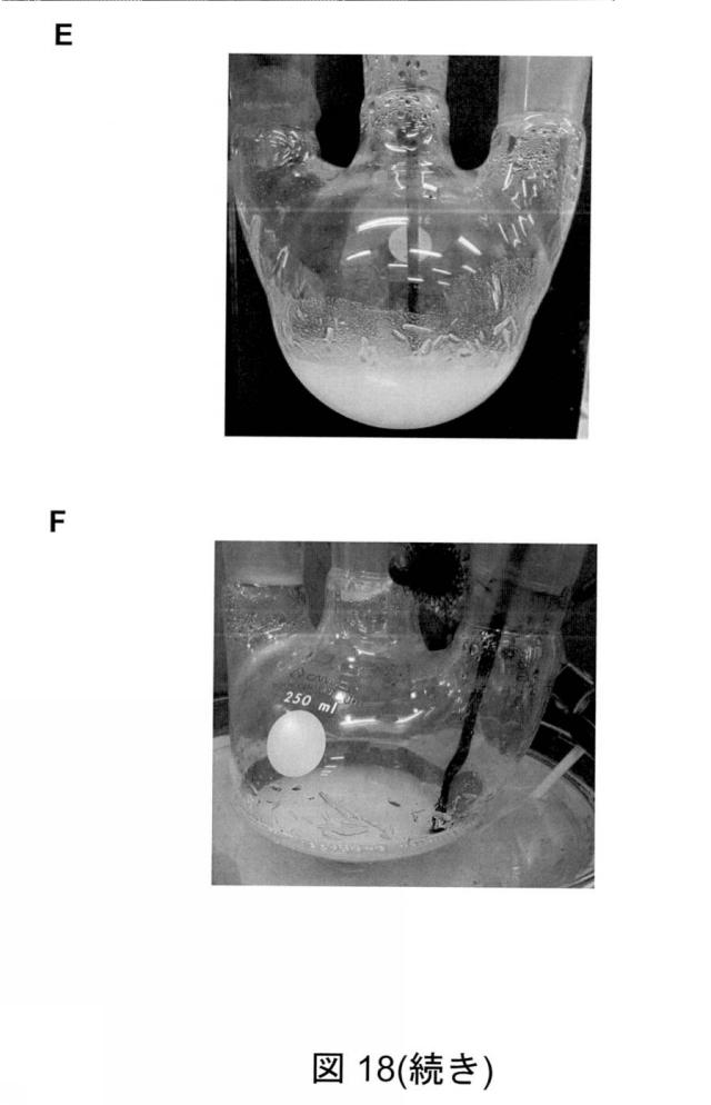 6825082-硫酸リチウムおよび硫酸を含む水性組成物を処理する方法 図000065