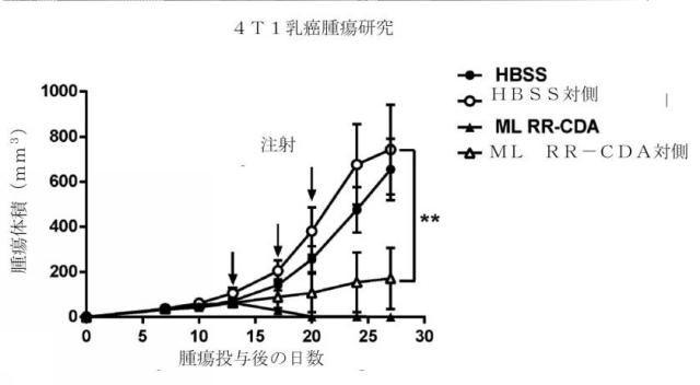 6453855-「インターフェロン遺伝子の刺激因子」依存性シグナル伝達を活性化するための組成物及び方法 図000066