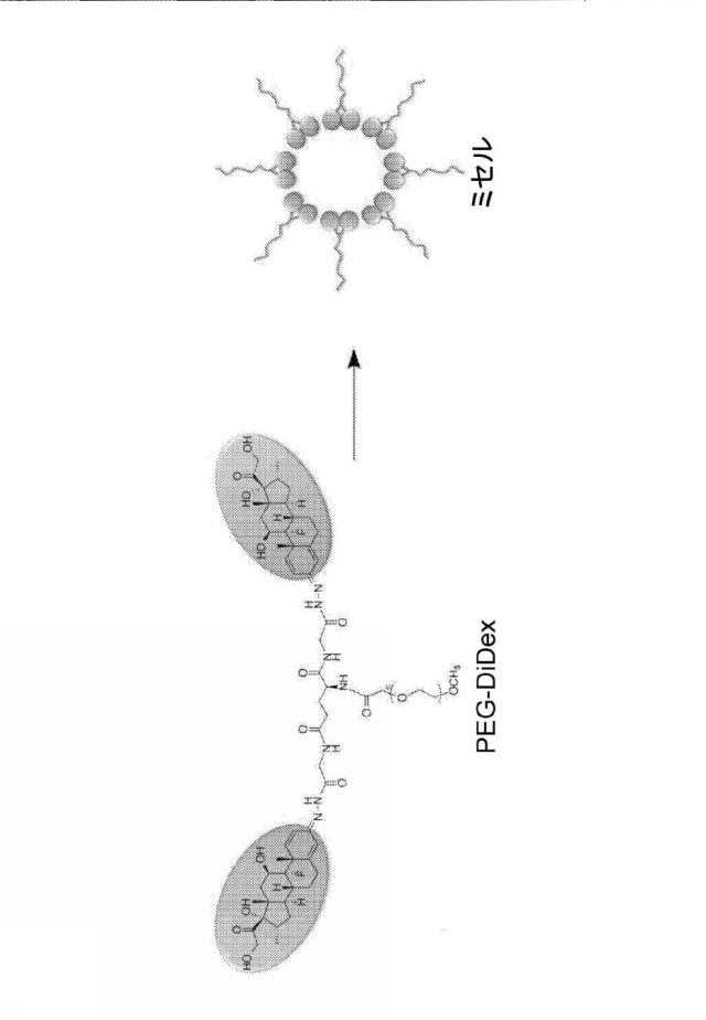 6849233-ポリエチレングリコール−結合グルココルチコイドプロドラッグならびにこれの組成物および方法 図000066