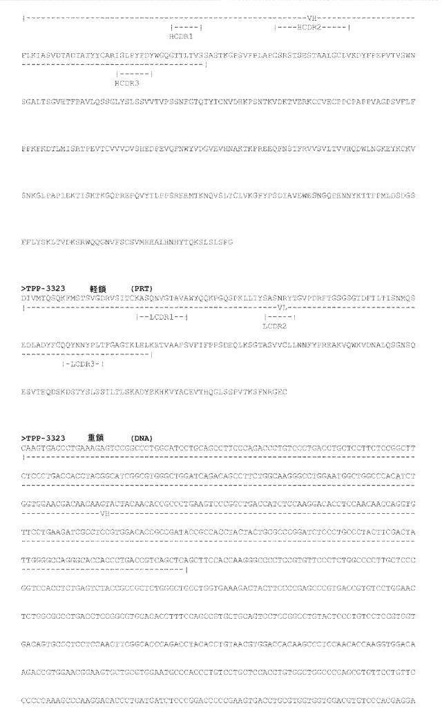 6815329-抗ＣＥＡＣＡＭ６抗体およびその使用 図000067