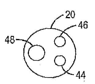 5829808-組換えエラスターゼタンパク質ならびにその製造方法および使用 図000068