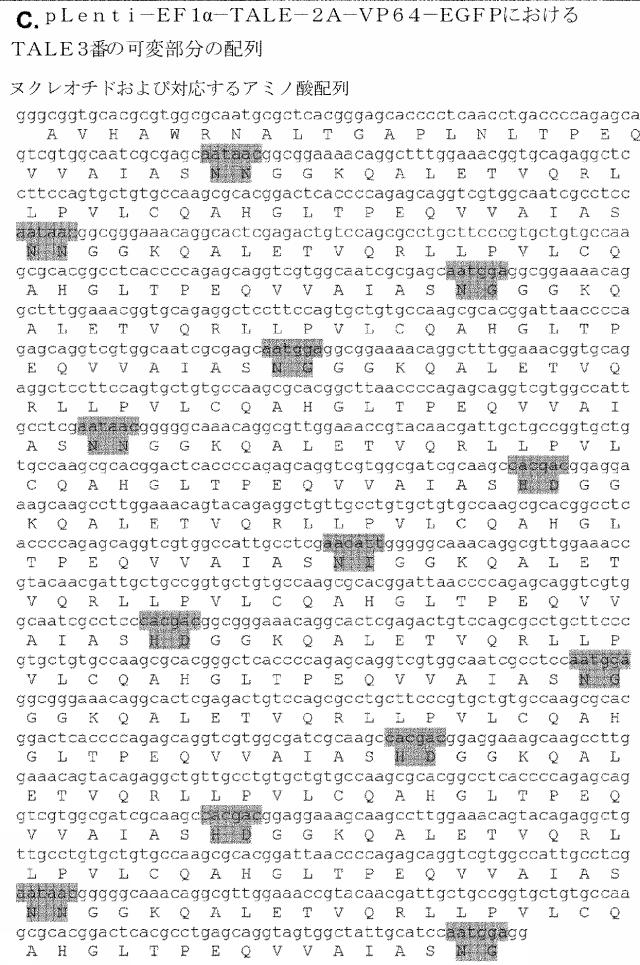 6259766-フラタキシンレベルを増加させる方法および生成物ならびにその使用 図000068