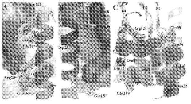 6697807-インスリン抵抗性のための改善されたペプチド医薬品 図000068