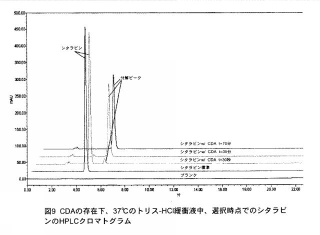 5684787-シチジンベースの抗新生物薬とシチジンデアミナーゼ阻害薬との組合せ、および癌の治療におけるその使用 図000069