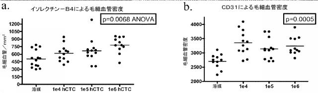 5894071-心臓組織由来細胞 図000069