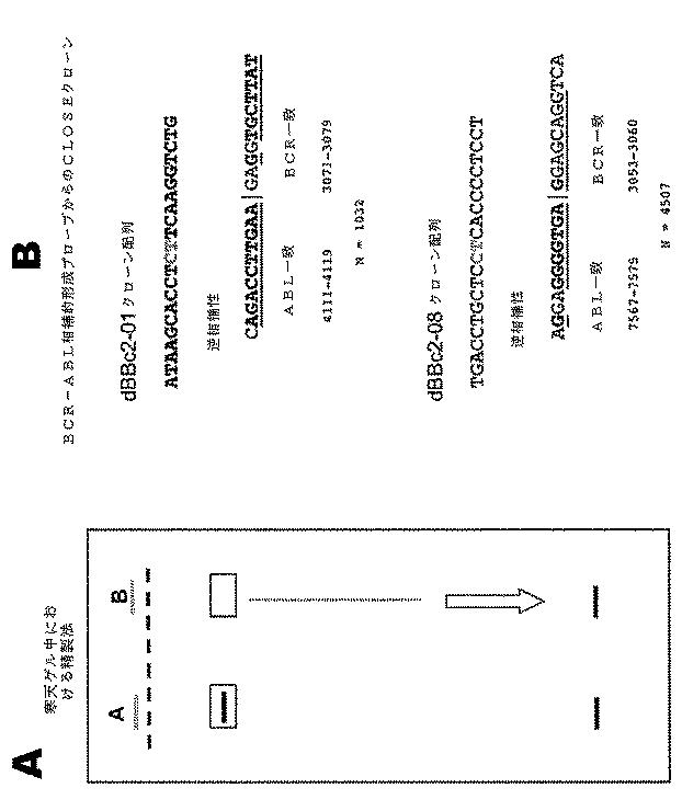 6910295-診断治療融合的な応用のための方法及びキット 図000069