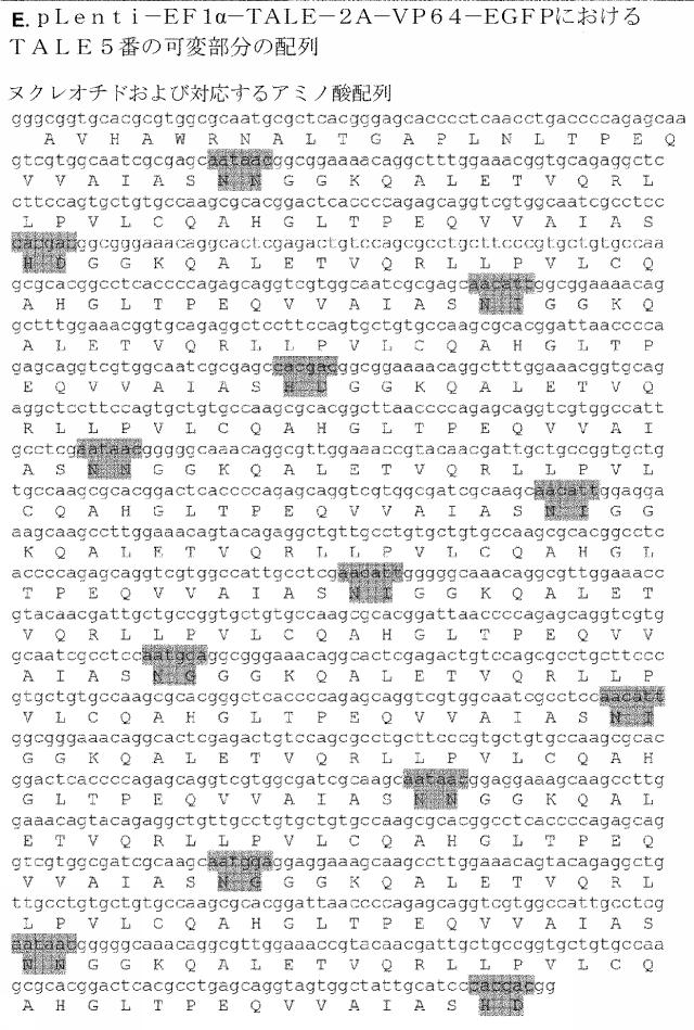 6259766-フラタキシンレベルを増加させる方法および生成物ならびにその使用 図000070