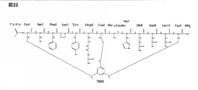 6588890-構築されたポリペプチド特異性のモジュレーション 図000070