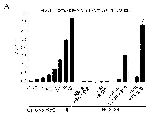 6799101-クローディンを発現するガン疾患を処置するための剤 図000070