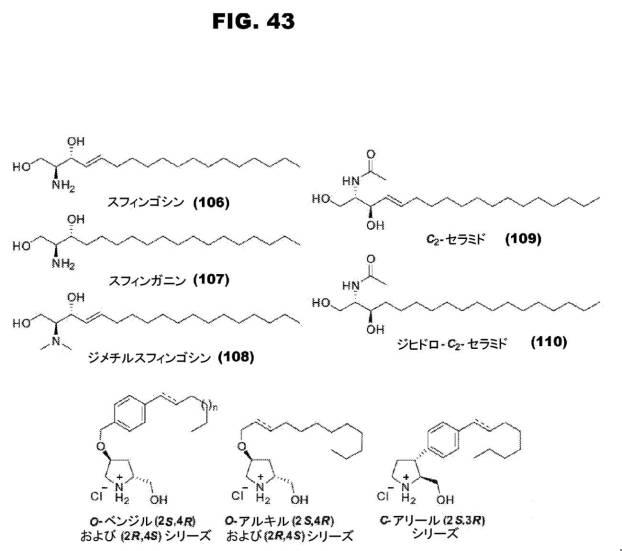 6853539-合成スフィンゴ脂質様分子、薬物、これらの合成方法、および処置方法 図000070