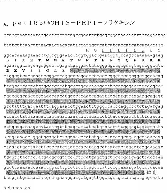 6259766-フラタキシンレベルを増加させる方法および生成物ならびにその使用 図000071