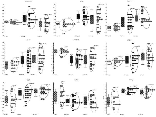 6321233-胃腸膵神経内分泌新生物（ＧＥＰ−ＮＥＮ）の予測方法 図000071