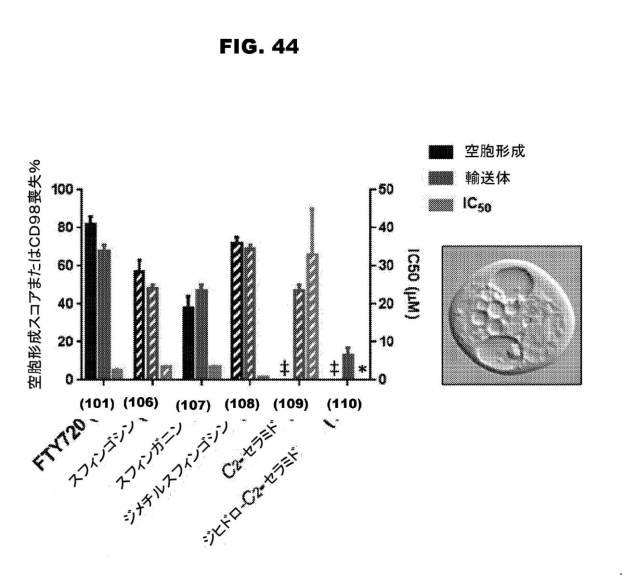 6853539-合成スフィンゴ脂質様分子、薬物、これらの合成方法、および処置方法 図000071