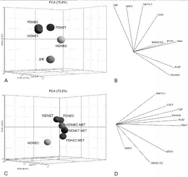 6321233-胃腸膵神経内分泌新生物（ＧＥＰ−ＮＥＮ）の予測方法 図000072