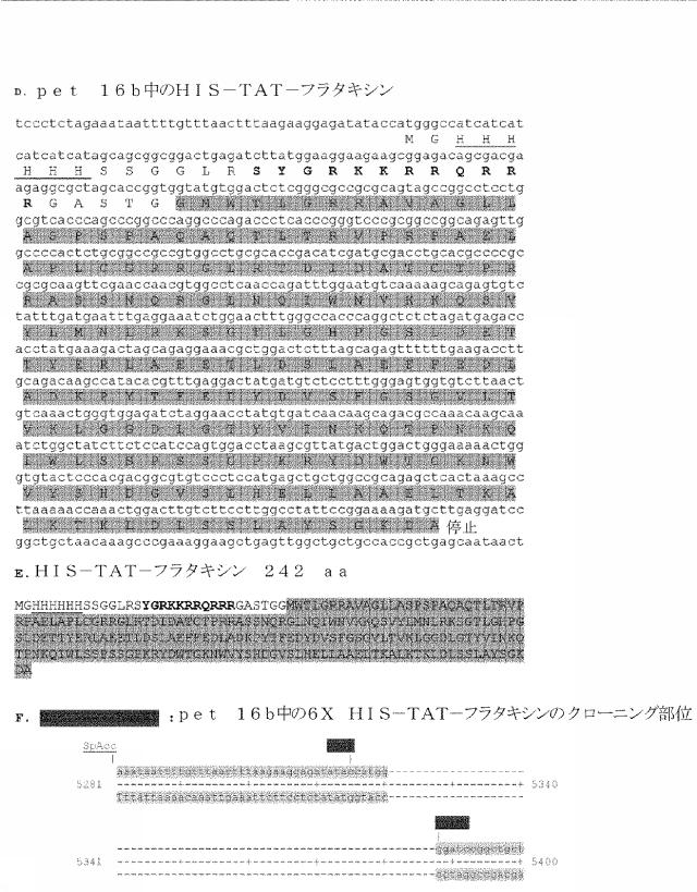 6259766-フラタキシンレベルを増加させる方法および生成物ならびにその使用 図000073