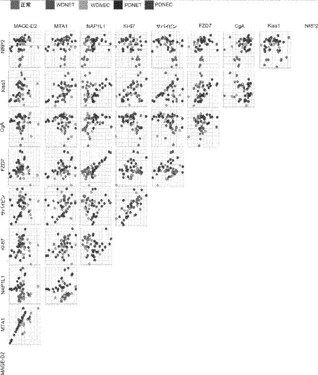 6321233-胃腸膵神経内分泌新生物（ＧＥＰ−ＮＥＮ）の予測方法 図000073