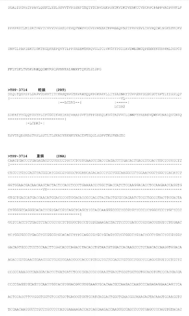 6815329-抗ＣＥＡＣＡＭ６抗体およびその使用 図000073