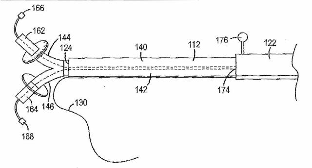 5829808-組換えエラスターゼタンパク質ならびにその製造方法および使用 図000074