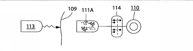 5830513-卵管内の精子の流れを制御する装置 図000074