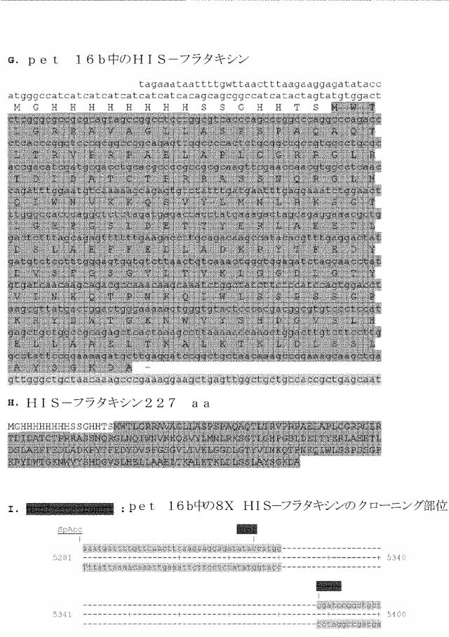 6259766-フラタキシンレベルを増加させる方法および生成物ならびにその使用 図000074