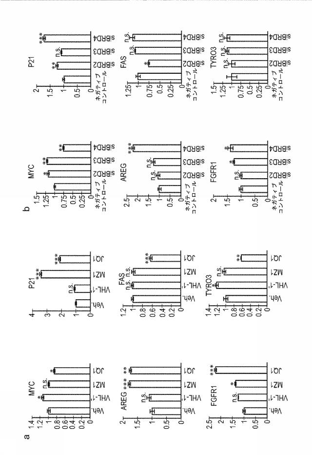 6849614-増殖性、自己免疫性または炎症性疾患の処置に有用な１−［（シクロペンチルまたは２−ピロリジニル）カルボニルアミノメチル］−４−（１，３−チアゾール−５−イル）ベンゼンの誘導体 図000074