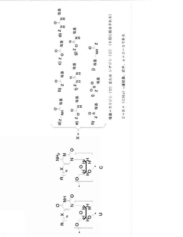 6956762-心血管系のリスクイベントの予測及びその使用 図000074