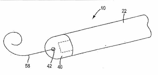 5829808-組換えエラスターゼタンパク質ならびにその製造方法および使用 図000075