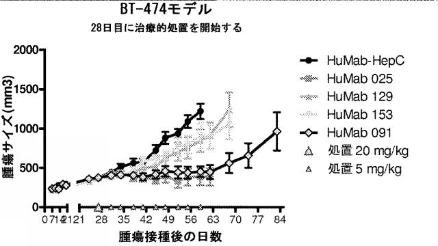 6341963-ＨＥＲ２に対するモノクローナル抗体 図000075