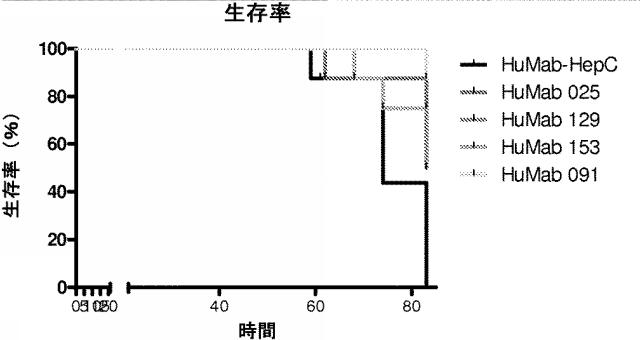 6341963-ＨＥＲ２に対するモノクローナル抗体 図000076