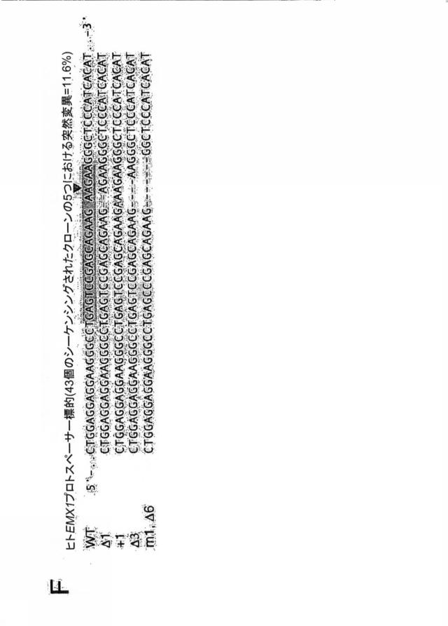 6203879-配列操作のための系、方法および最適化ガイド組成物のエンジニアリング 図000077