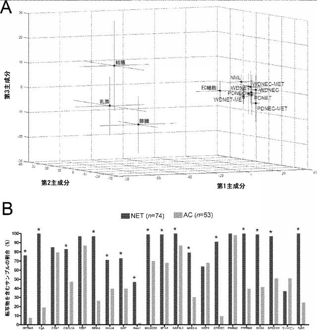 6321233-胃腸膵神経内分泌新生物（ＧＥＰ−ＮＥＮ）の予測方法 図000078