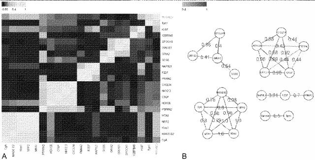 6321233-胃腸膵神経内分泌新生物（ＧＥＰ−ＮＥＮ）の予測方法 図000079