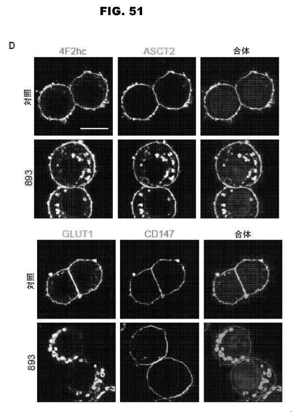 6853539-合成スフィンゴ脂質様分子、薬物、これらの合成方法、および処置方法 図000079